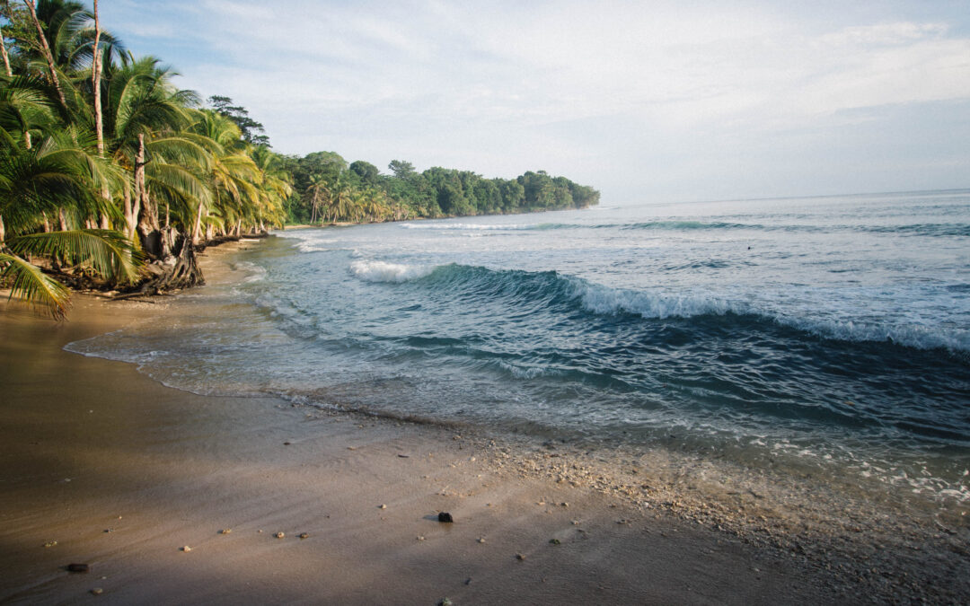 Bocas del Toro: A Concept for Sustainable Development, Only With Consensus