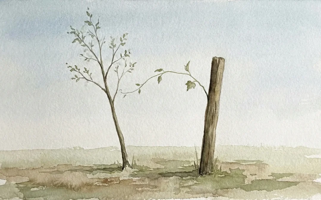 The Power of Silence: The Order’s True Philanthropy